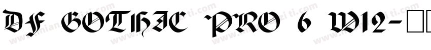DF GOTHIC PRO 6 W12字体转换